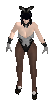 mn1139.PNG