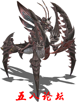mn1038.png