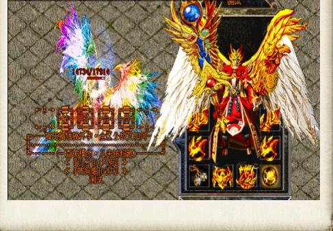 144702kceq8aq30c26v2te.jpg